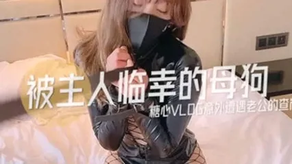 超人氣美少女糖心up意外遭老公的查崗被主人幸臨調教的小母狗 全集 封面